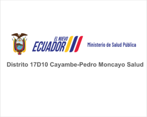 logo msp